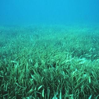 Sanc0209 Flickr NOAA Photo Library