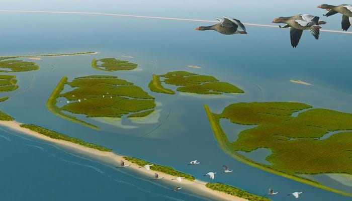 Marker_Wadden_aerial_view_2_kopie.jpg