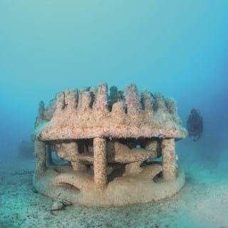 3D Printed Reef Units Installed In Monaco